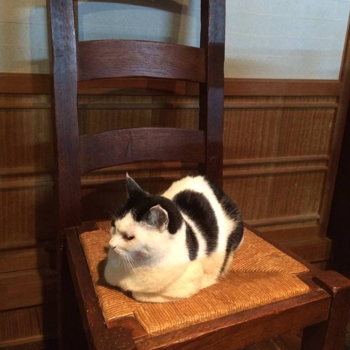 D909bdd9 26db 4ab6 be65 ef744882a05f