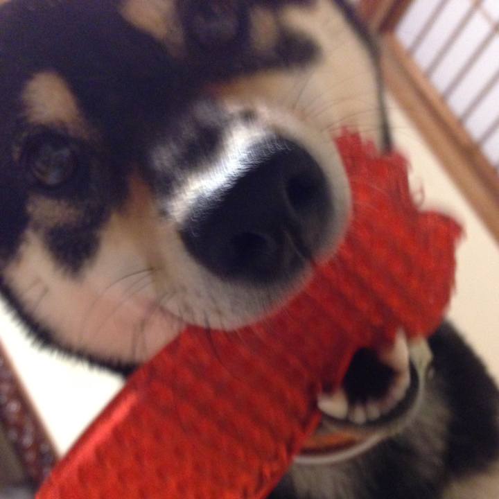 D909fdd9 c9c6 48fe 8c74 0acb45f972d5