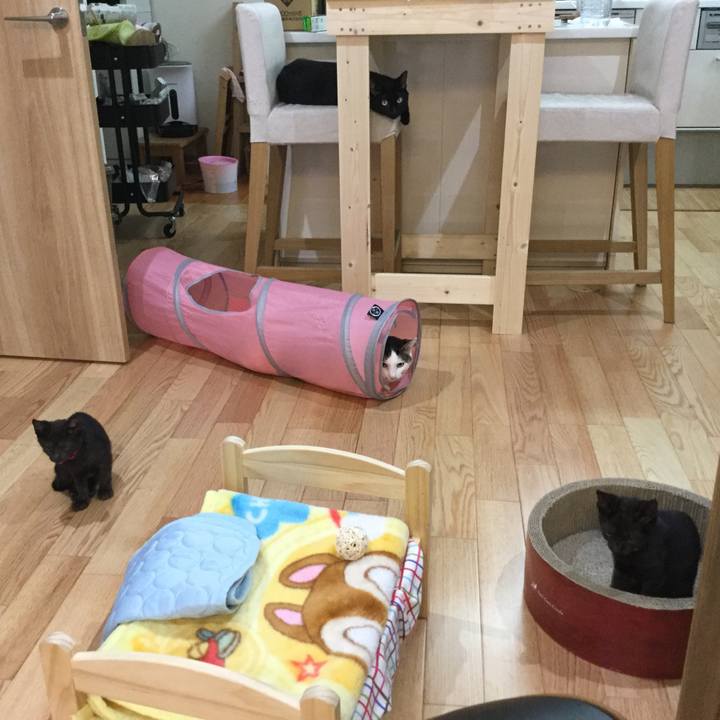 D90a5e00 34f8 4bec 82eb 0728d1b71d71