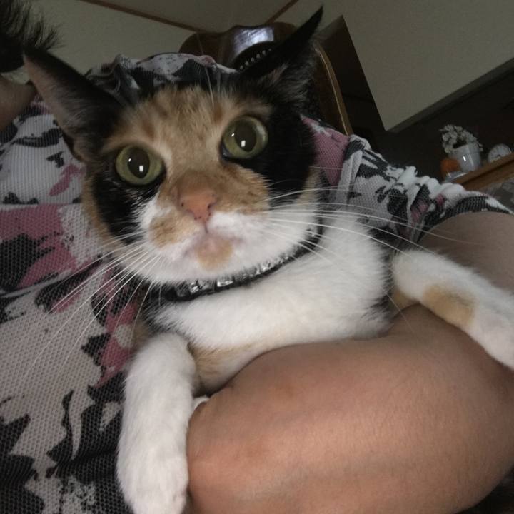 D90a61d6 a224 4c14 9197 a3b0114a78a4