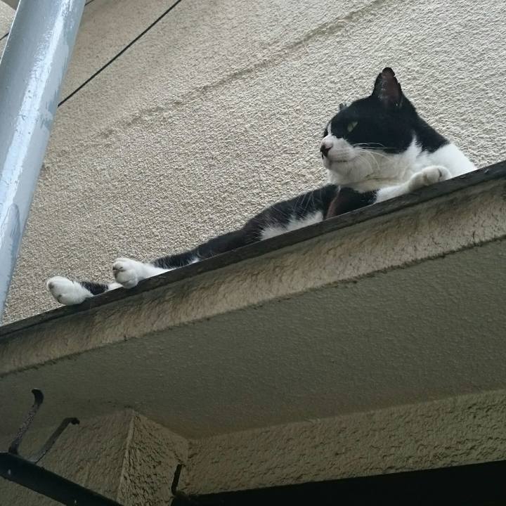 D90aaaaa 951f 4772 abb8 d7c3cce40aa2