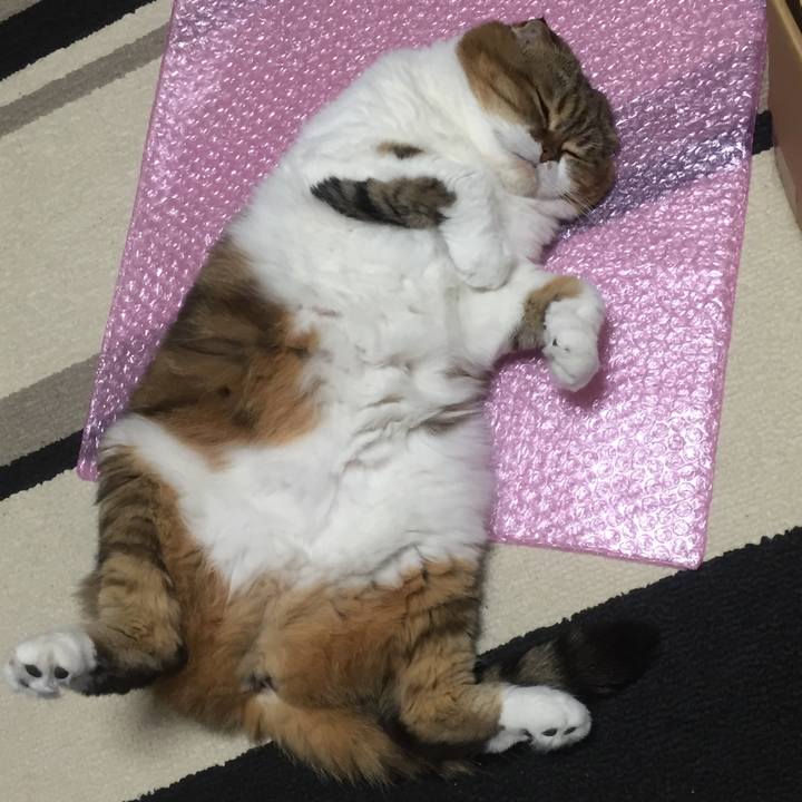 D90aca68 598e 422f 8a66 d9e87f8c9df9