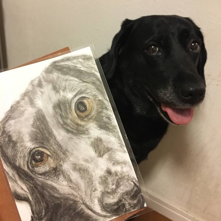 D90b28aa 020e 4509 9c5a be54a3616872