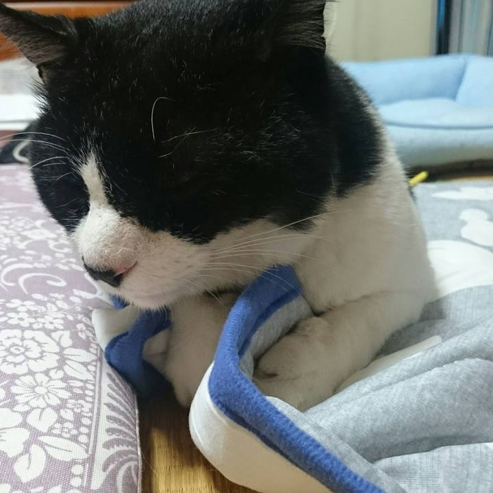 D90bbc38 19ce 4375 ad69 43d8c5593e80