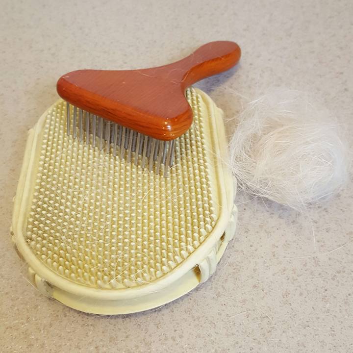 D90cbe76 76ae 4612 91b7 5defc2a3914b