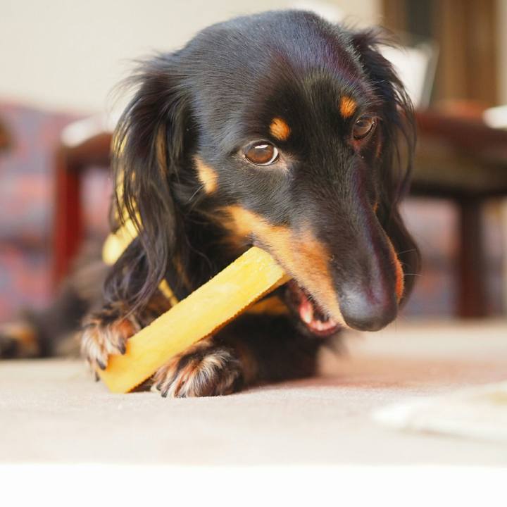 D90d0c0f 9d7b 4cce b8f0 ffef0ff88dfd