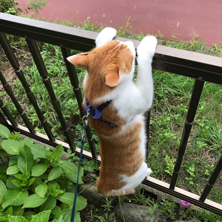 D90d83cf fd98 4481 ab6d 51d07dfb5ca3