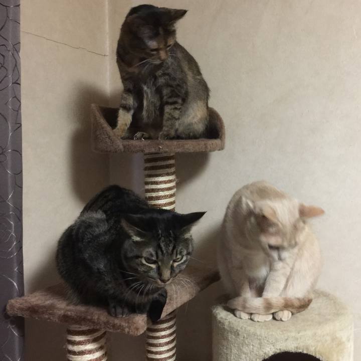 D9107442 7d60 4207 9a94 360bc2eb11a1