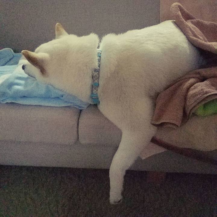 D9109161 0377 4678 97e9 1c1d5158187a