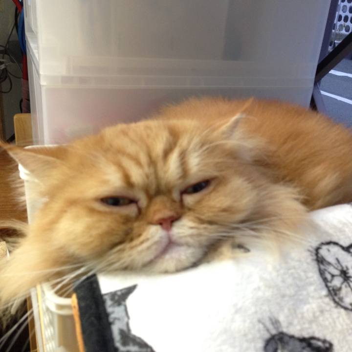 D911c655 6d8b 420c 9b5a 365c23536209