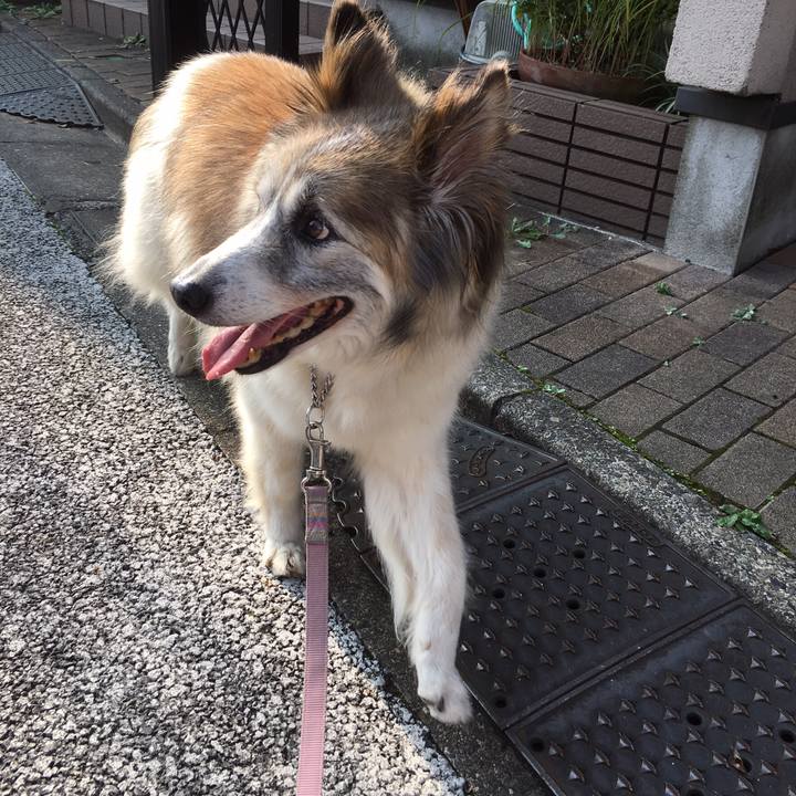 D912a1fa 90e0 4083 88b0 d13c9f1f8c67