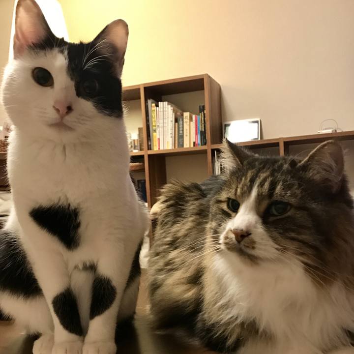 D913052d 1c93 4586 ab33 9f0eb83cb9e5