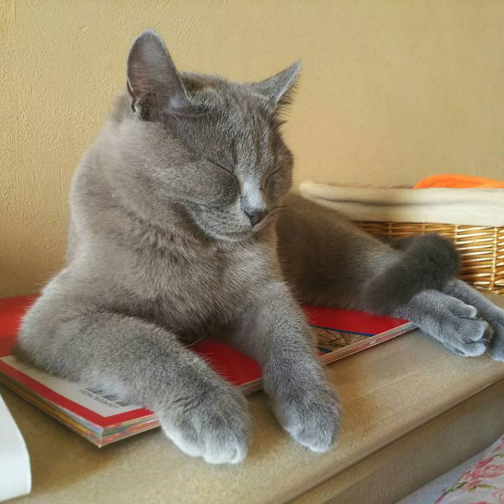 D91316d2 5cbb 4a22 a1a4 39e2d12bff8f