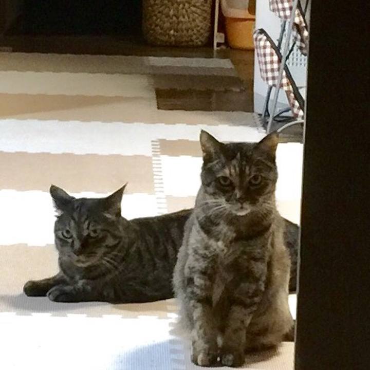 D9133b2f e541 47ca 9621 34cd0dcb8877