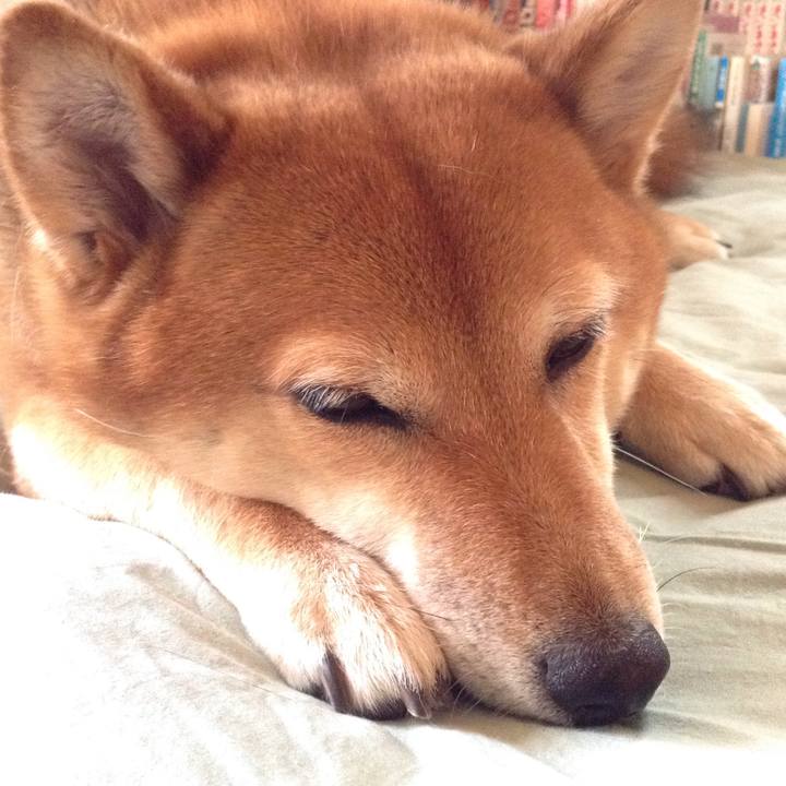 D9135325 0bfe 4619 9a94 c9faea625887