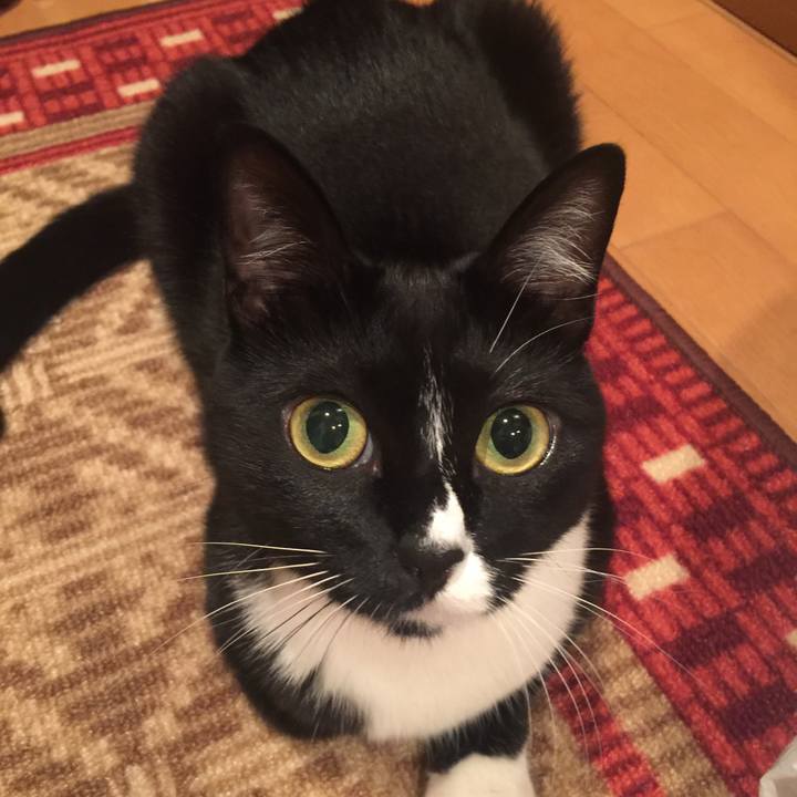 D913a5af 65ab 4bc1 89e6 a3ee7bef1b5c