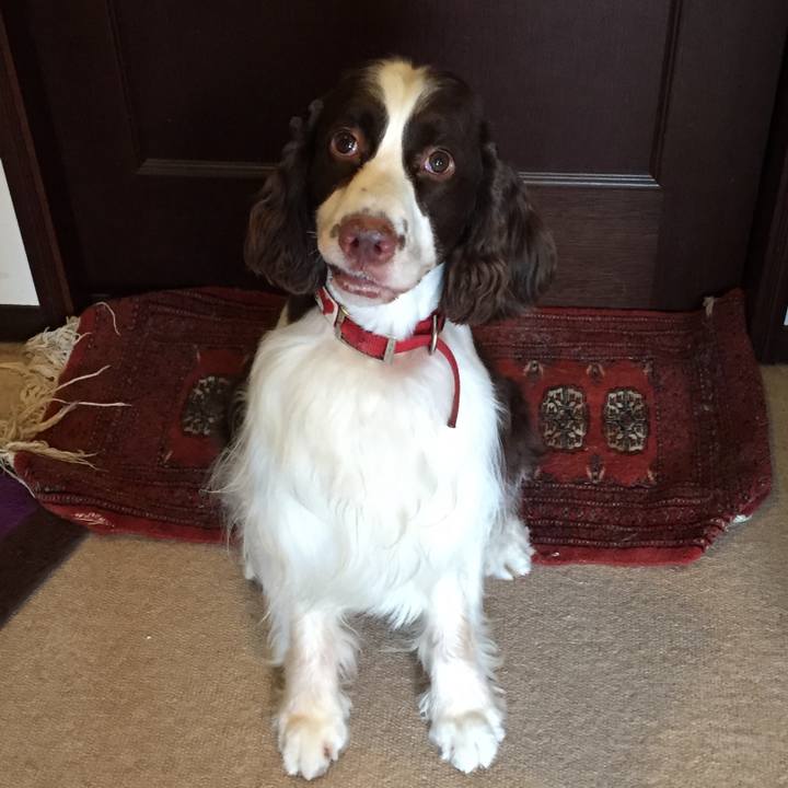 D913b658 816e 4803 a7d2 8edeeb3ade80