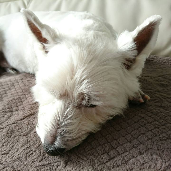 D913fffa a047 4b7a 9021 0e1f4372b12a