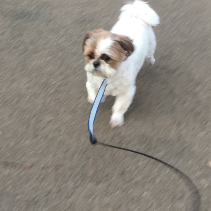 D9143564 d283 4191 8f50 1877f5ceb897