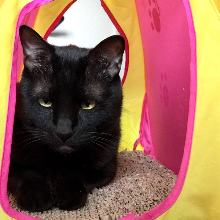 D91446a2 c35d 41d1 9c7f a02520599fb4