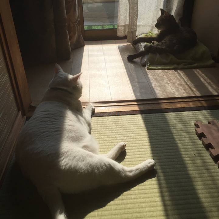 D914615e b628 4b32 9ae7 6d0cbfcab3ba