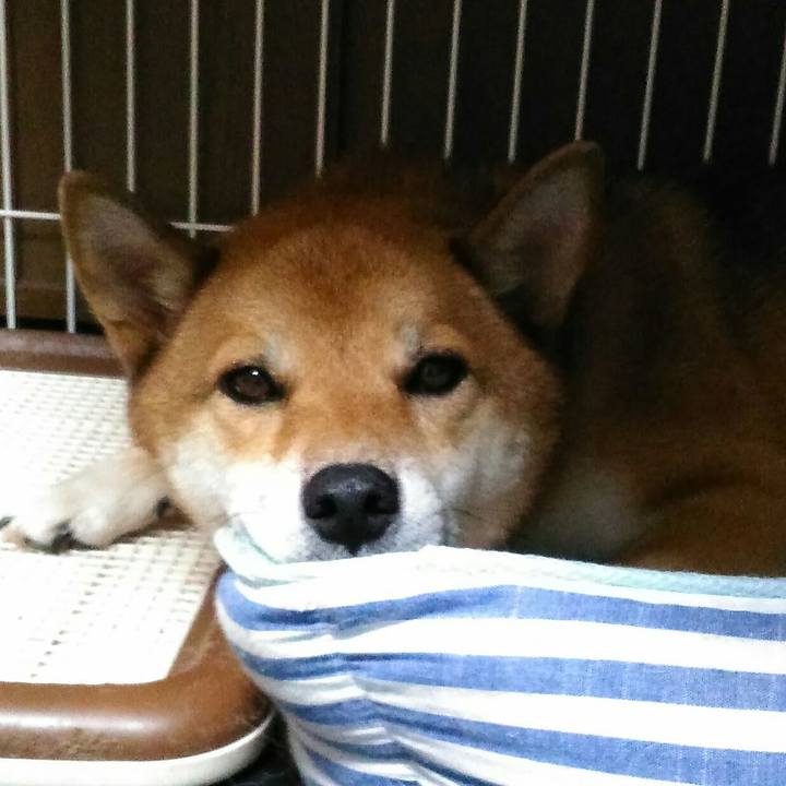 D914adaf 17ec 4bca 96d9 7770f6282ece