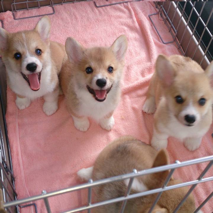 D91575cb bc69 4c94 9424 e5328ed715bf