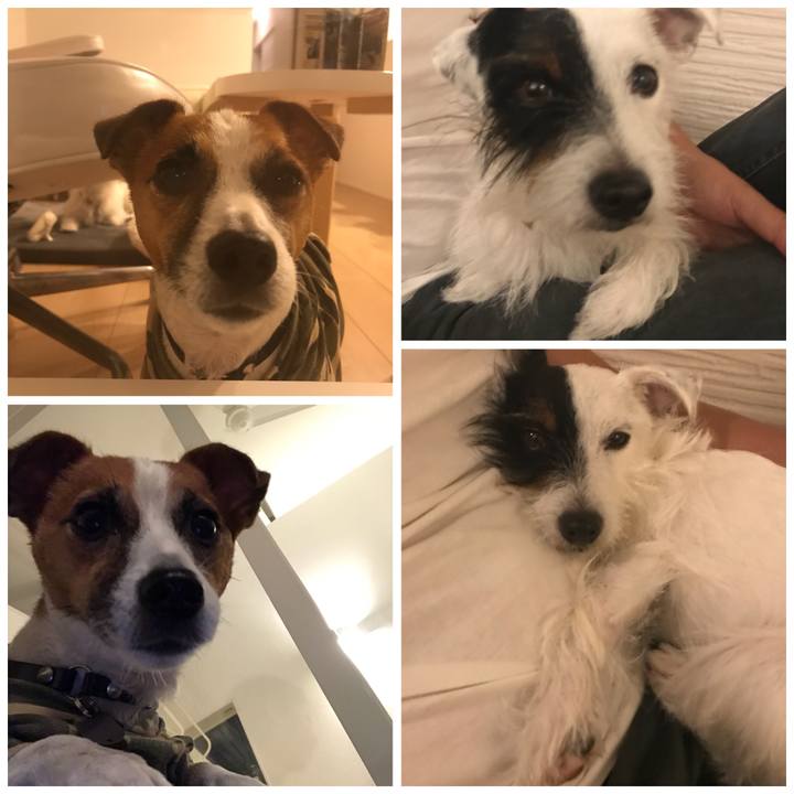 D9164860 341a 4d3b a76d 83b4d3dca0dc