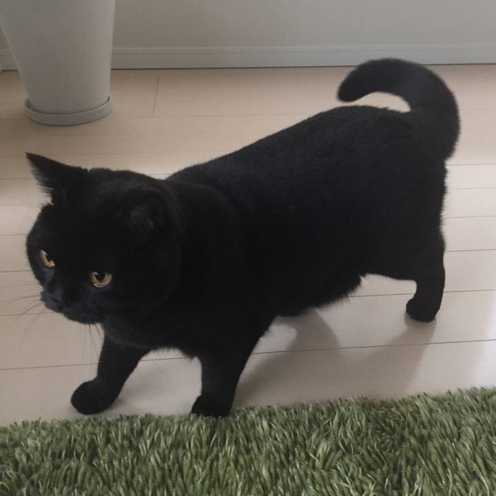 D916b75b cddb 48be baab 016754e34a4f