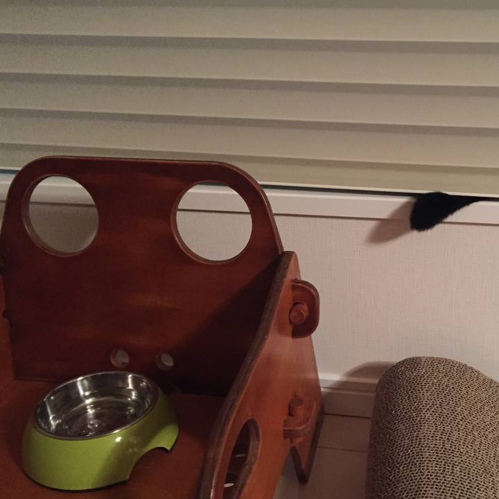 D916b8a4 db22 42e0 9843 58484fadd58d