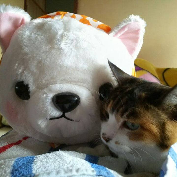 D916bc5f 19f5 4e8d 8d3c 800d90d276cc