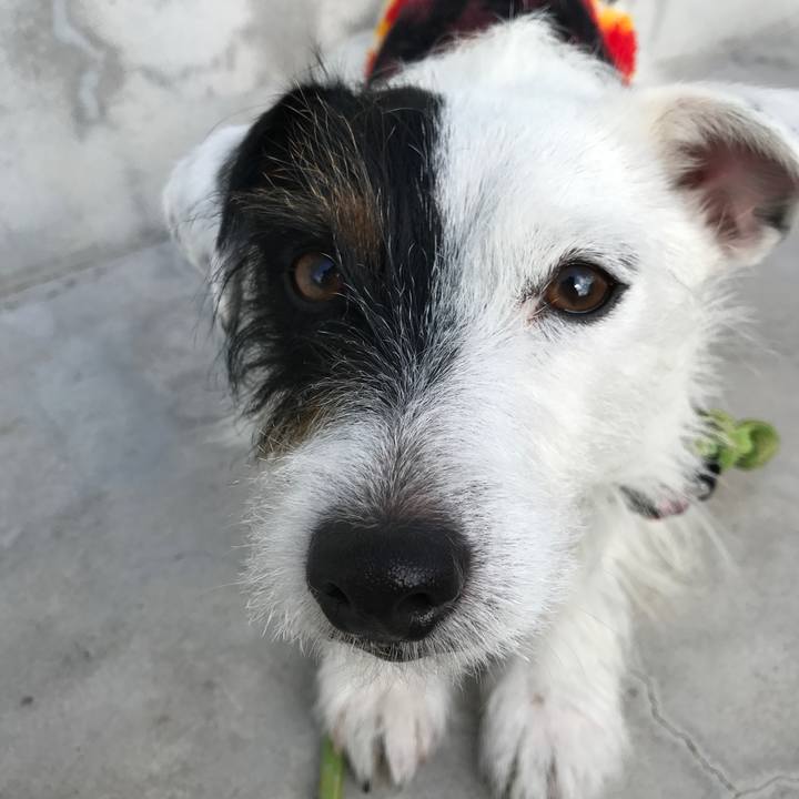 D916e88a 9b16 4a18 ac61 f48cc57e86af