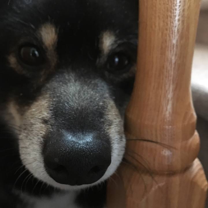 D9173fea c7b4 4535 9cba 5dddc19a7d58