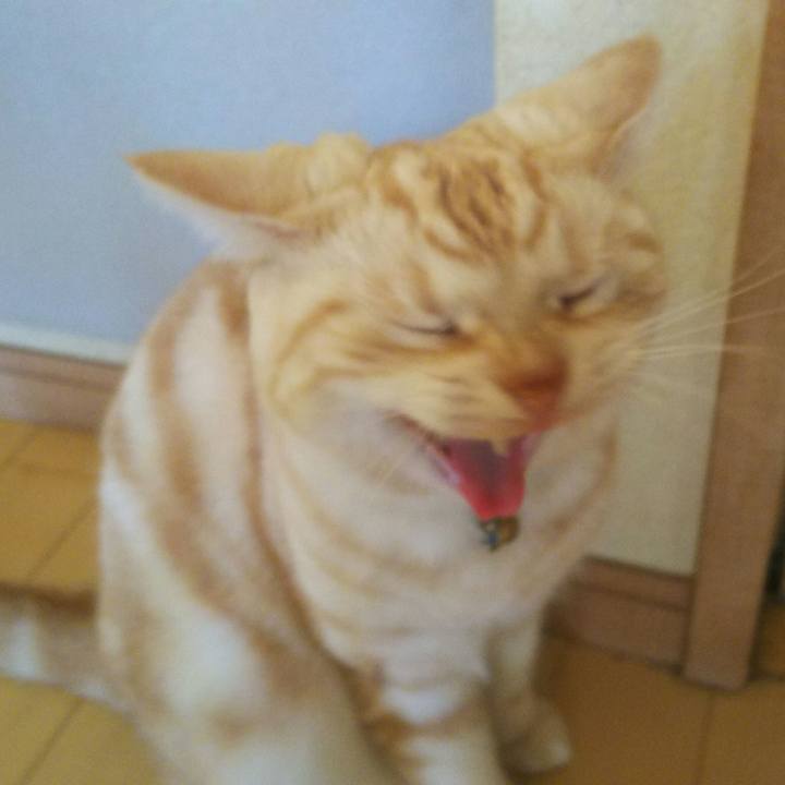 D9177961 4255 4a00 a8b8 63ccb2d91913