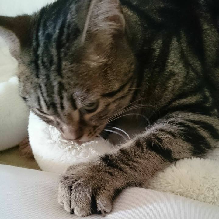 D918e202 237e 4ed2 b081 ea84a8ca6a47