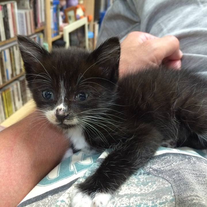 D91944eb e9a4 4a9e 8fd5 a3d289f8caaa