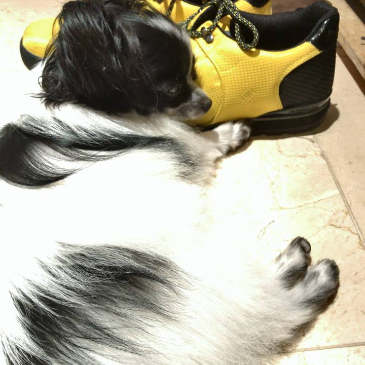 D9198975 9874 4bbc a4ae 73eed5dd515a