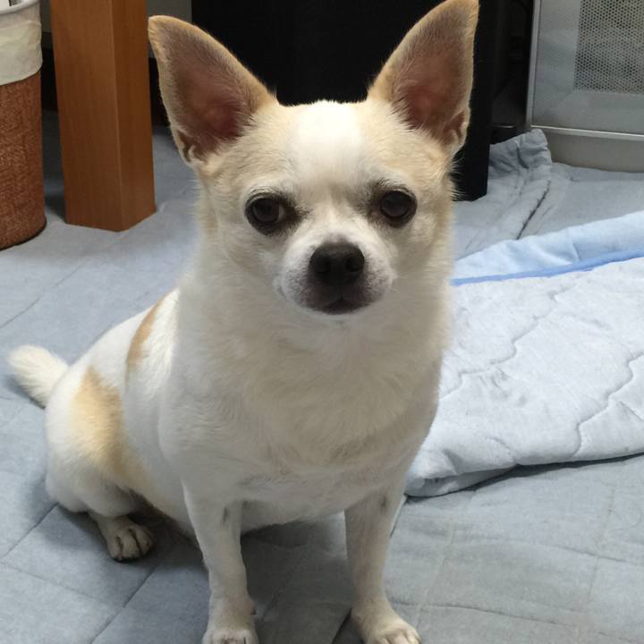 D919a096 94a8 430b bc01 1de96444e209