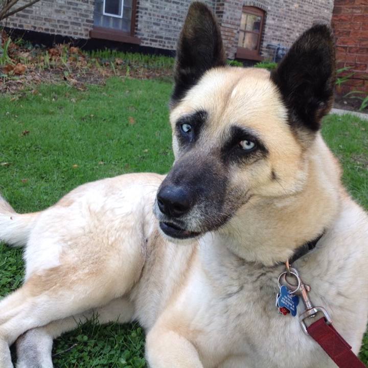 D919a1f2 1e89 4b58 a025 b77e768d4170