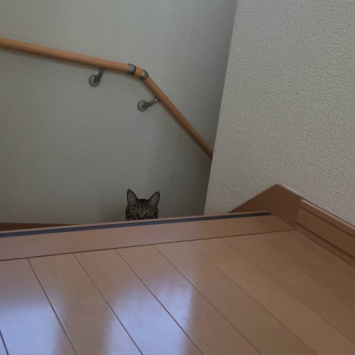 D91a945f 4a4c 46d8 adcd 6f1c8711af61