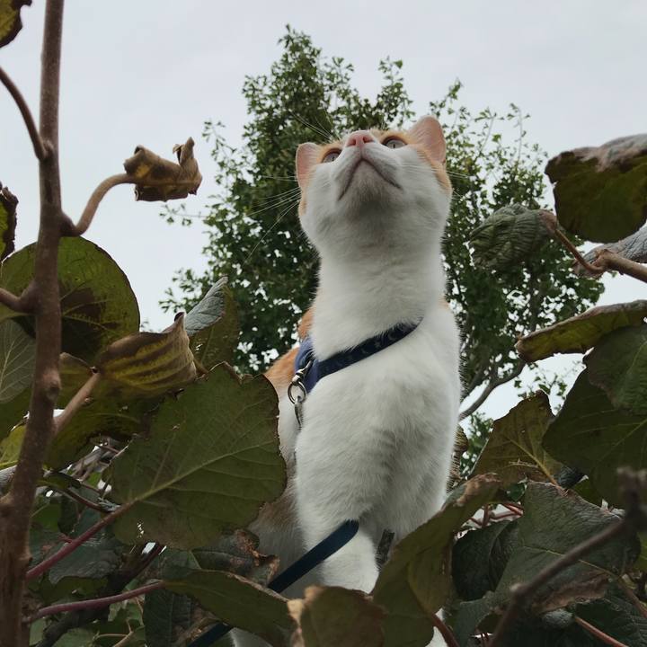 D91b3948 4c69 4ac9 bcdc b24ac30d65ac