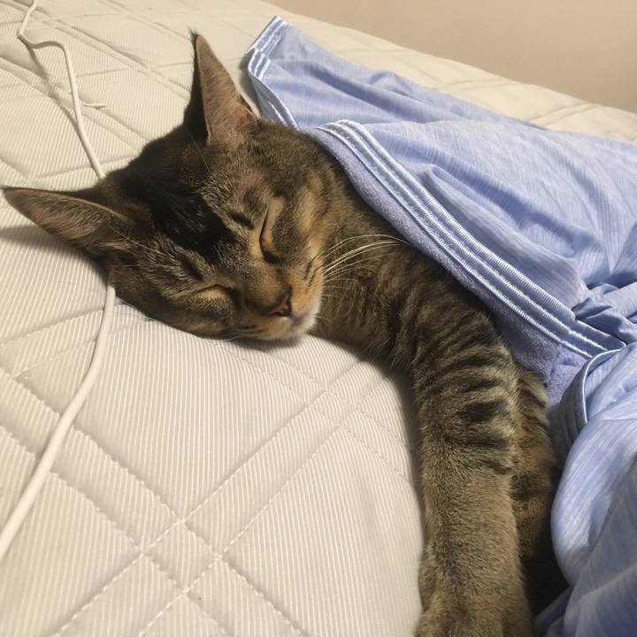 D91bf078 8f00 4dd7 9232 75d2c1e58549