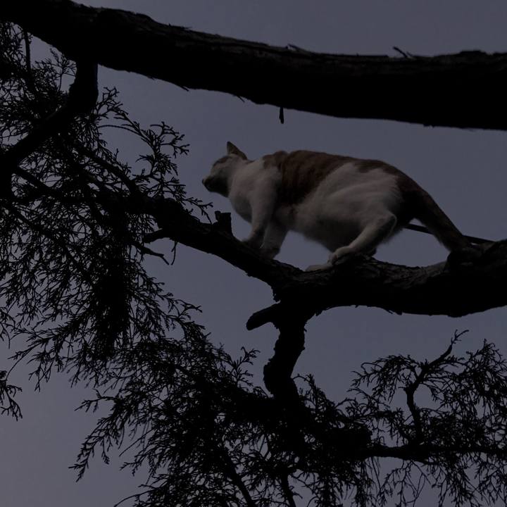 D91d5181 1d56 4259 8e14 228ad66170a7