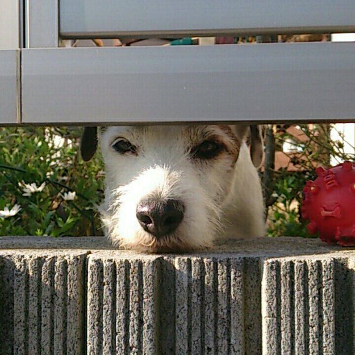 D91d7749 fbcd 4b87 a4c7 b9f1537f3adc