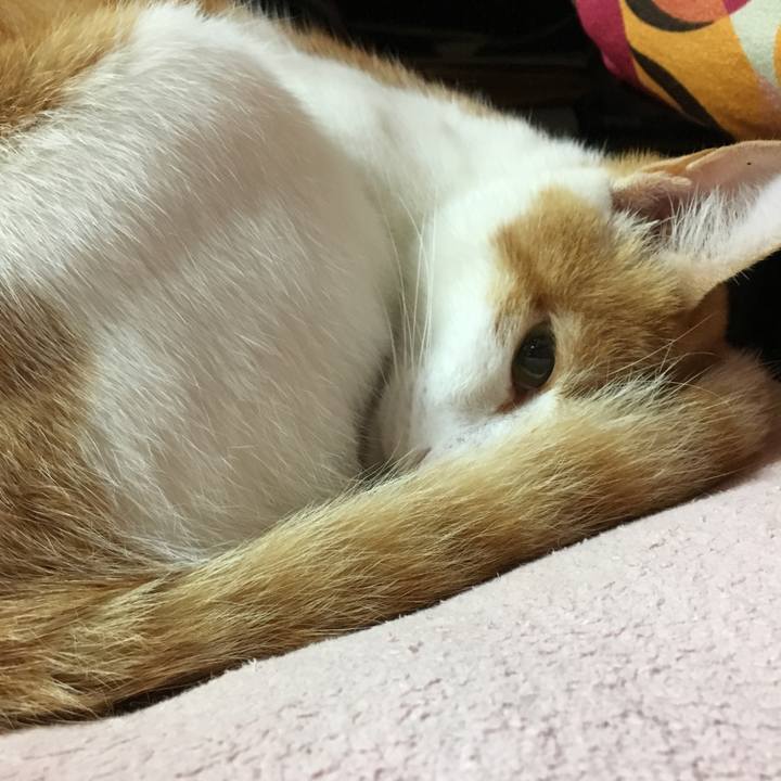 D91dc178 a1d6 4ea7 a556 9138fa57fa24