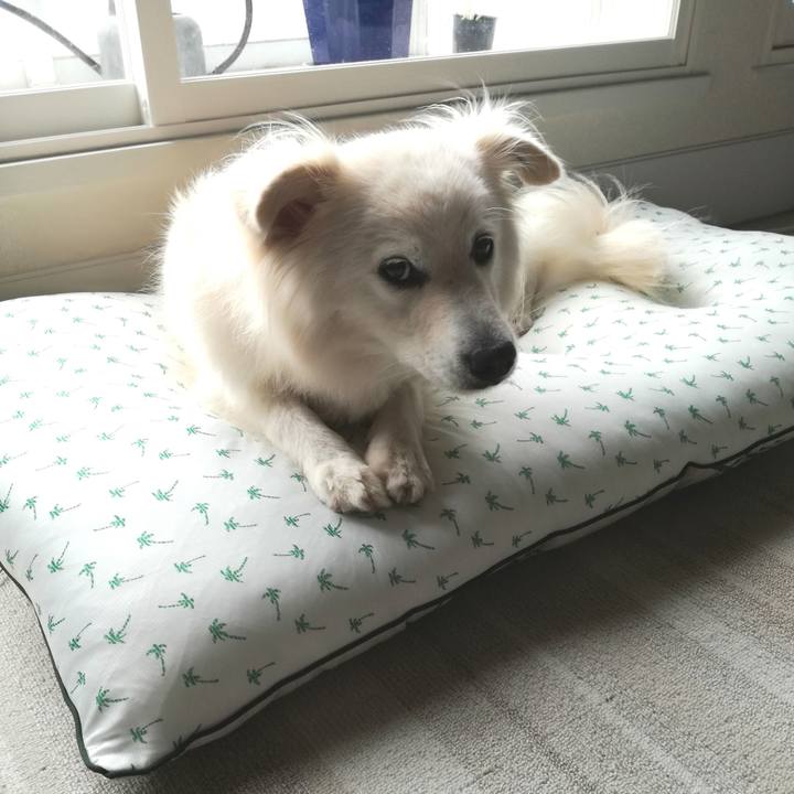 D91e13c3 d10b 416d 8ebd db1467642903