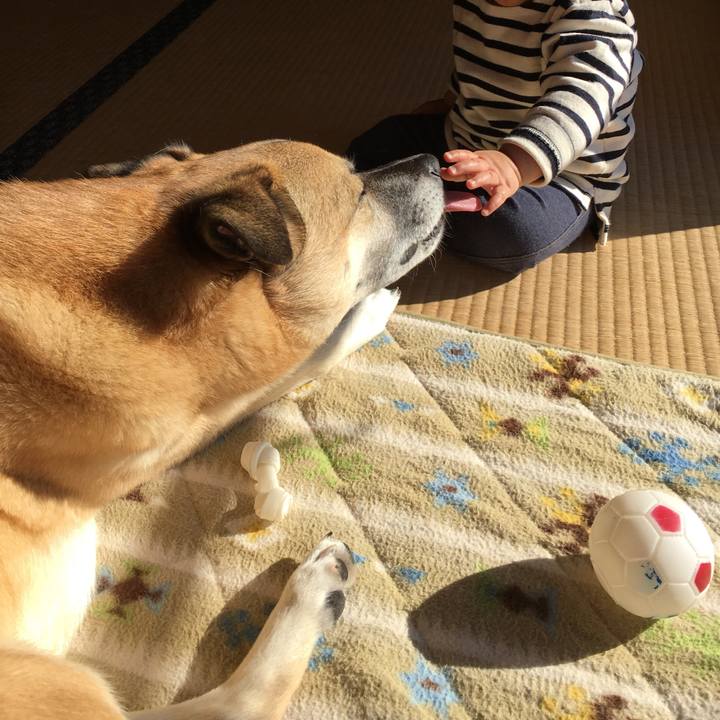 D91e5d6e 8bb0 460a b5c6 c1588eab0987