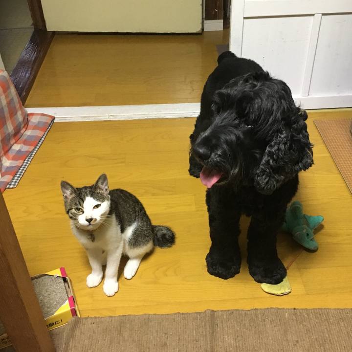 D91e8ae0 50fe 4c9b af02 3de3af856d83