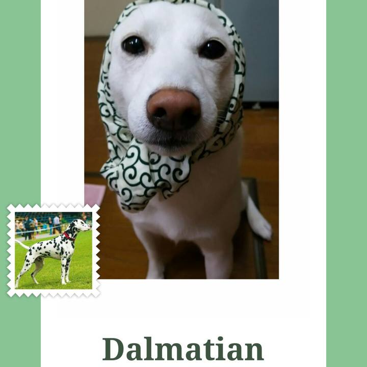 D91e8b36 85f2 4f9b 957b 77092e772e69