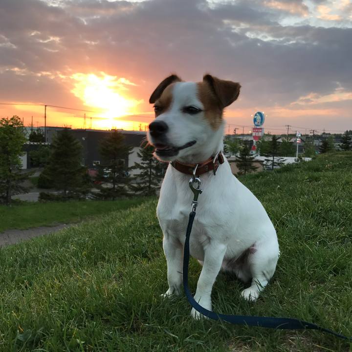 D91e8bb2 225d 445e a976 e39b70321337